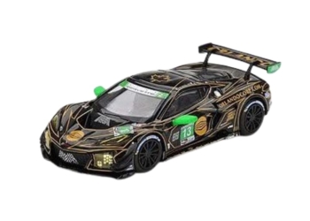 Mini GT Chevrolet Corvette Z06 GT3.R #13 AWA IMSA Daytona 24 Hrs 2025 1:64